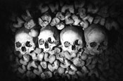 Catacombs, Paris