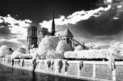 Notre Dame, Paris