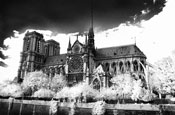 Notre Dame, Paris