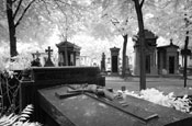 Montparnasse Cemetery, Paris