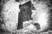 Ballaghmore Castle