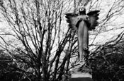 Braamfontein Cemetery, Johannesburg