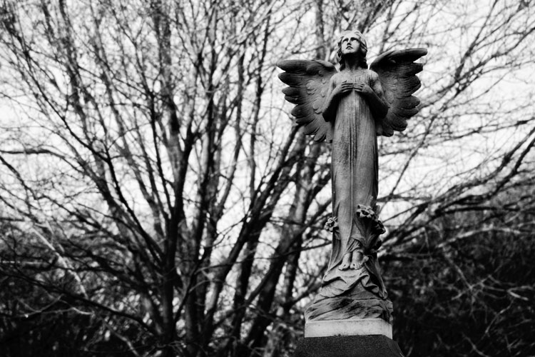 Braamfontein Cemetery, Johannesburg